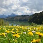 Hefele Weissensee Mit Koenigscard דירה הופראו