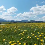 Hefele Weissensee Mit Koenigscard *