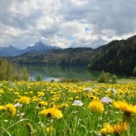 Hefele Weissensee Mit Koenigscard شقة هوبفيراو