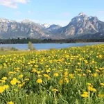 Hefele Weissensee Mit Koenigscard Lejlighed