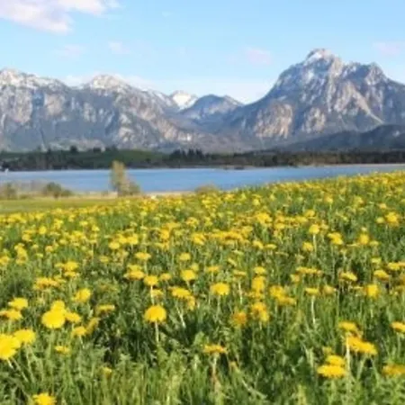 Hefele Weissensee Mit Koenigscard Apartment