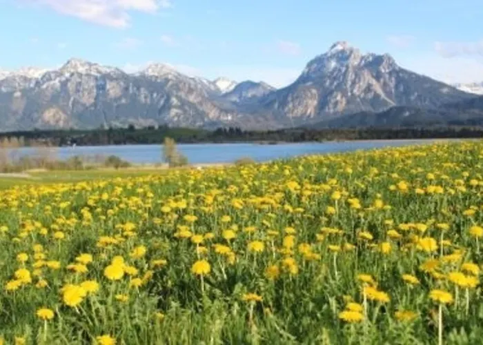 Hefele Weissensee Mit Koenigscard Appartamento