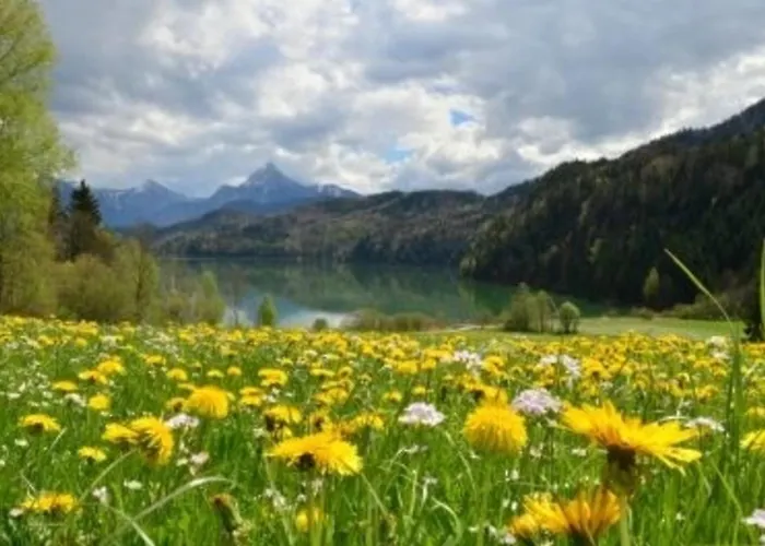Hefele Weissensee Mit Koenigscard Appartamento Hopferau